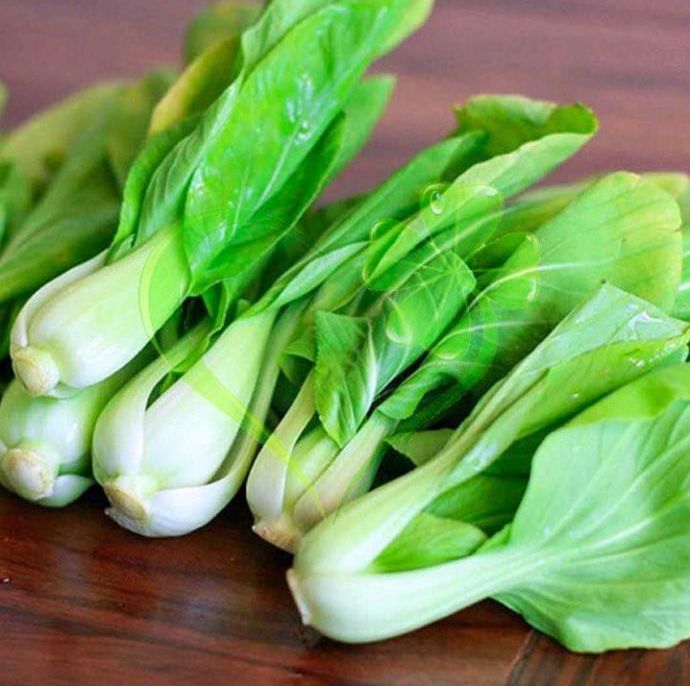 Hạt giống cải thìa - gói 20 gram