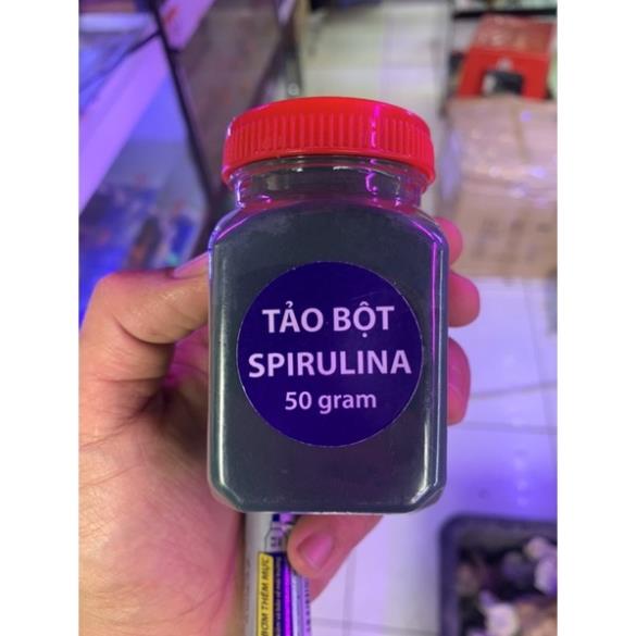 Tảo Bột - Thức ăn cho Artemia và cá con