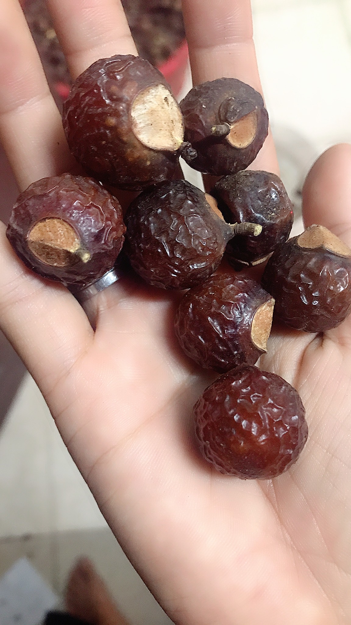 Quả bồ hòn chưa tách hạt Huna'shome 1 Kg