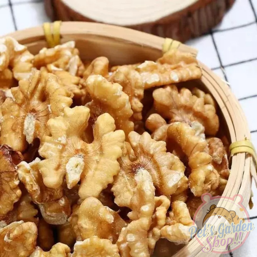 Nhân hạt óc chó rang sẵn - Thức ăn cho hamster