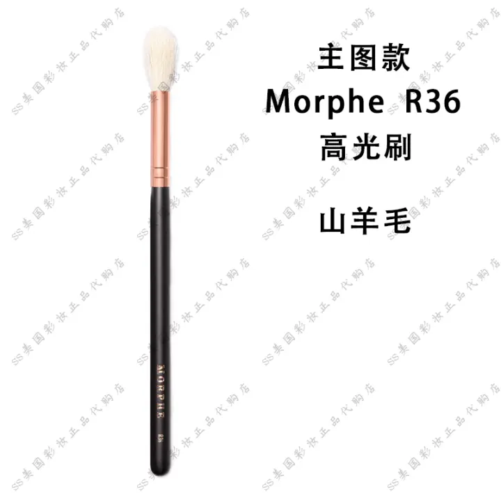 morphe r36