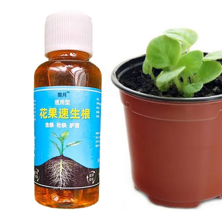 Root Enhancer for Plants Fertilizer Solution for Plant Growth Liquid Root Stimulator Root Booster for Plant Flower Transplanting Root Growth Enhancer 1.7 Fl Oz everywhere