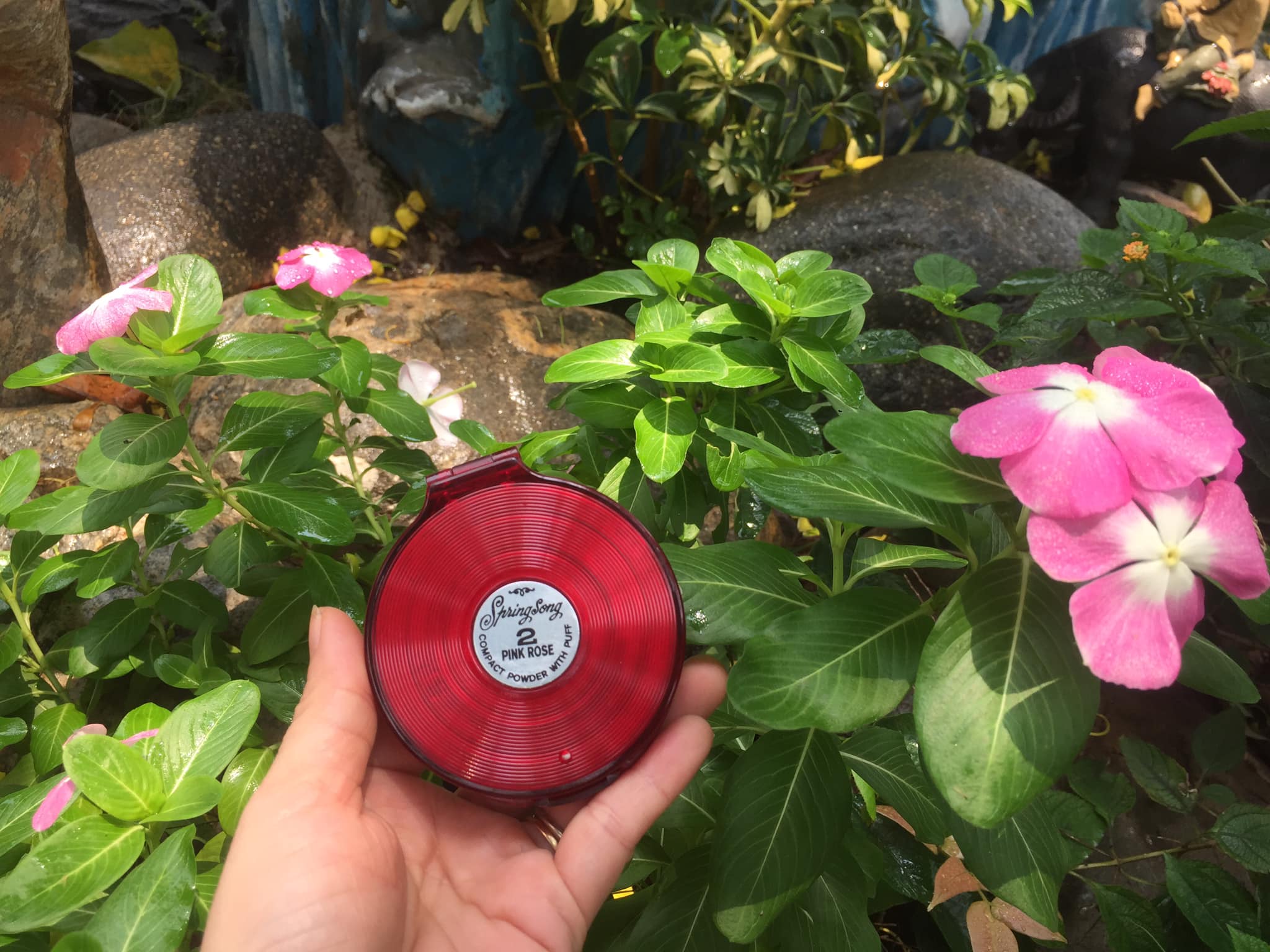 Phấn phủ trang điểm Thái Lan con chim Én 15 g
