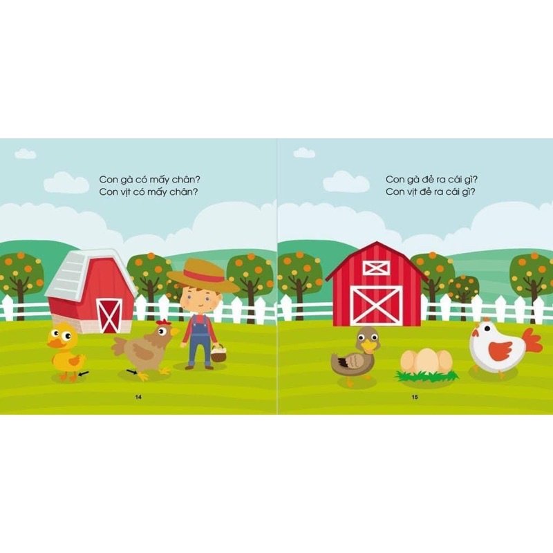 COMBO 3 QUYỂN MẸ HỎI BÉ TRẺ LỜI