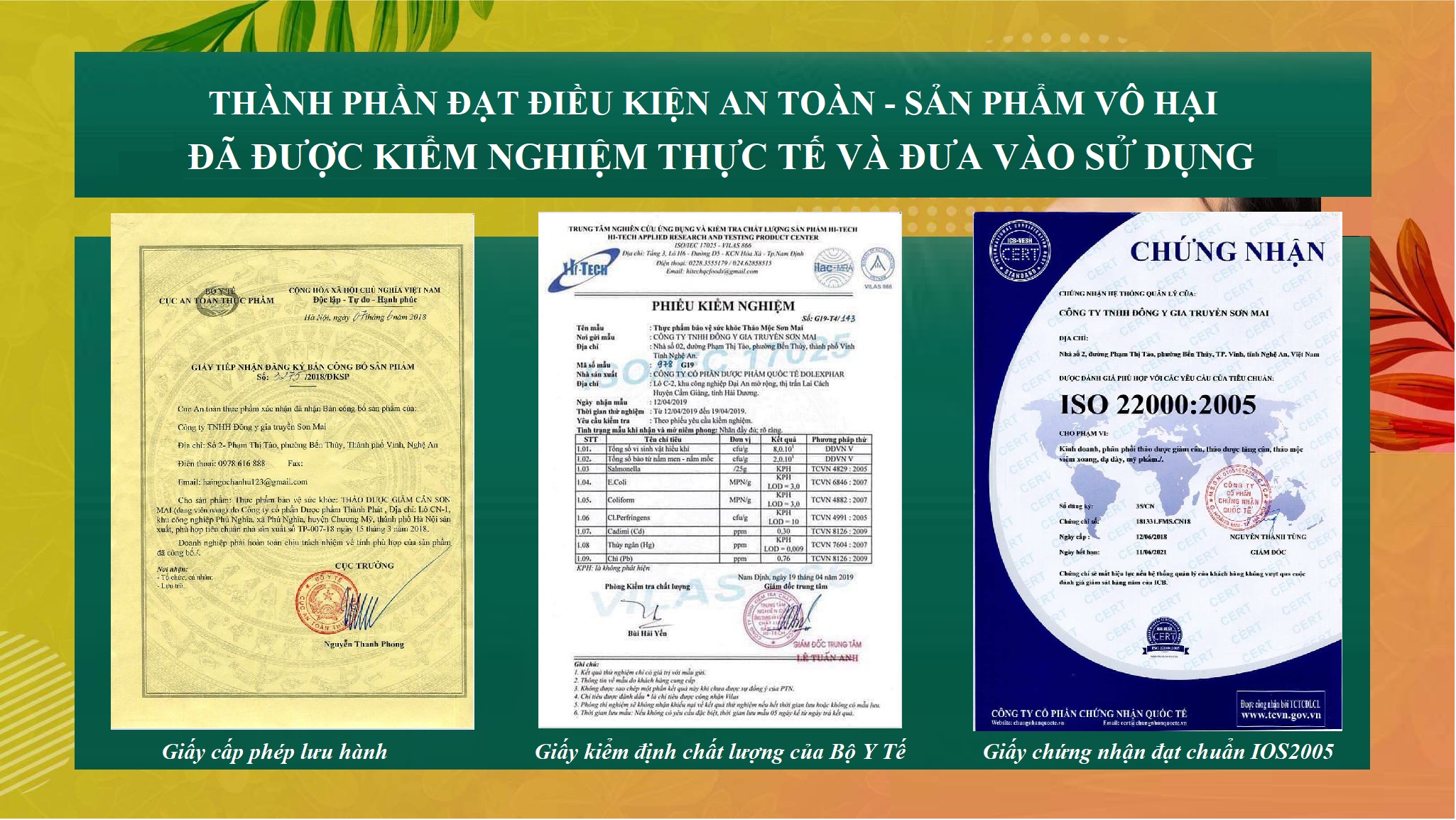 Combo 3 Giảm cân Thảo mộc Sơn Mai VIP 90v
