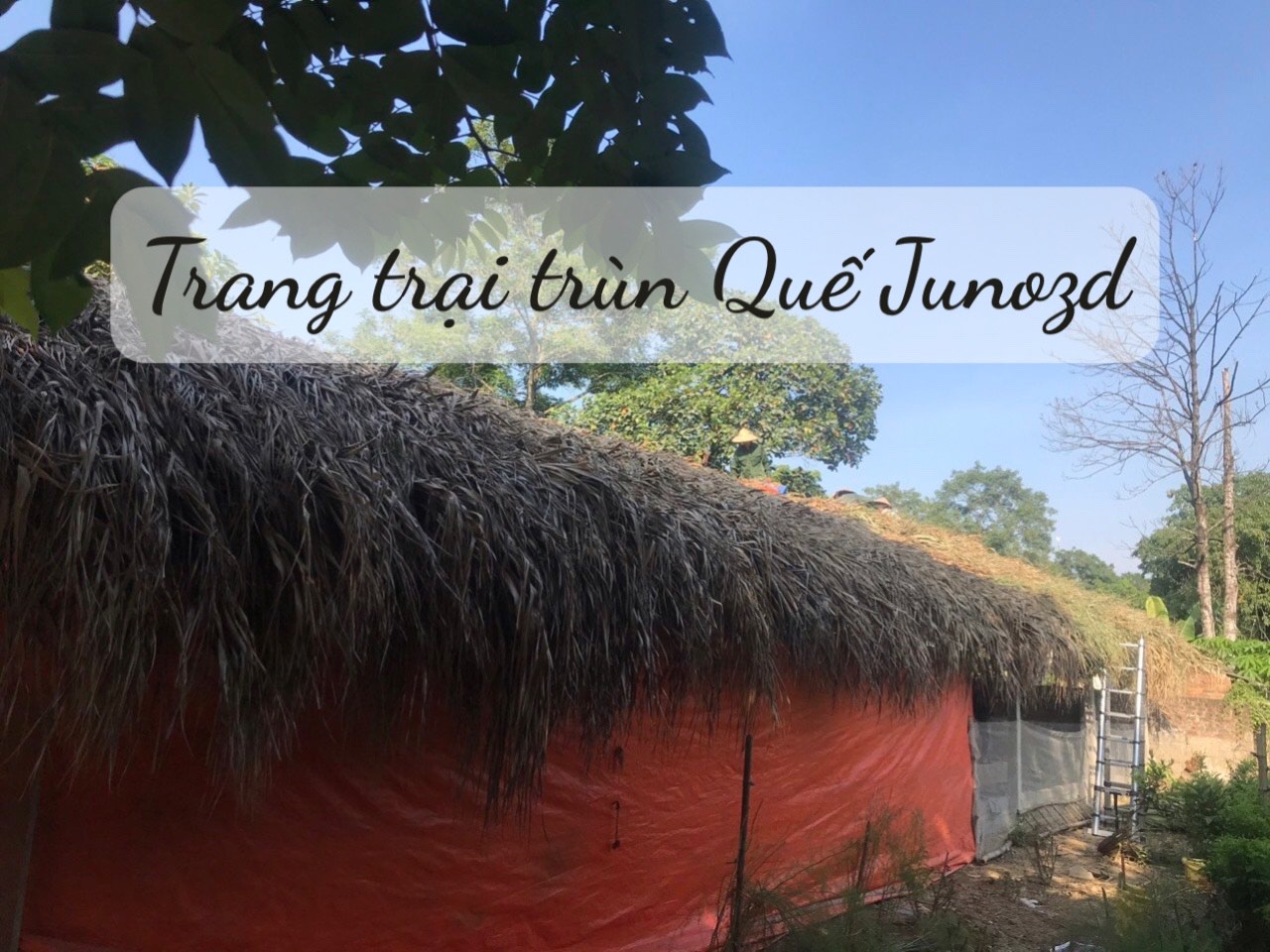 Phân trùn quế bột JUNOZD