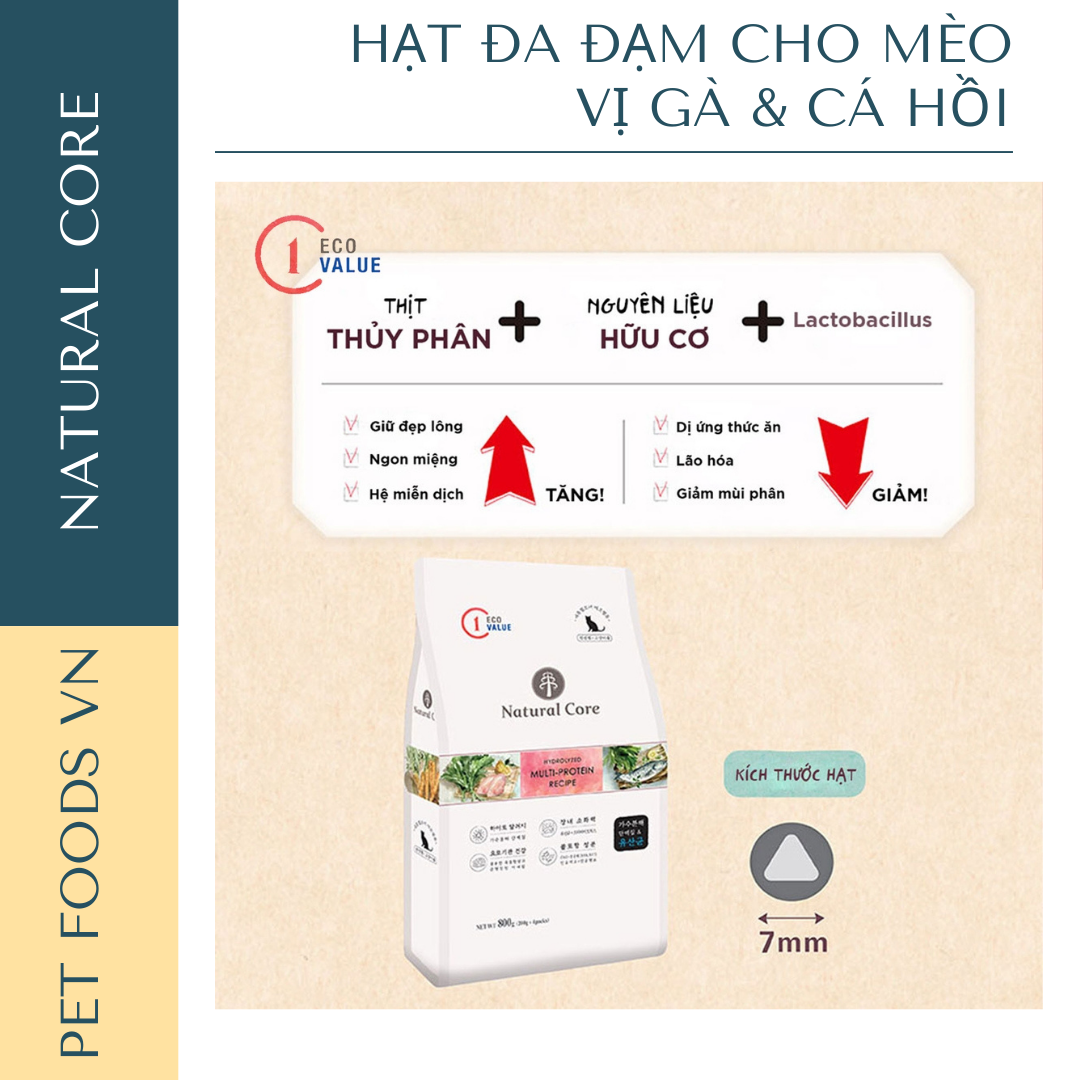 Hạt đa đạm cho mèo NATURAL CORE ECO C1