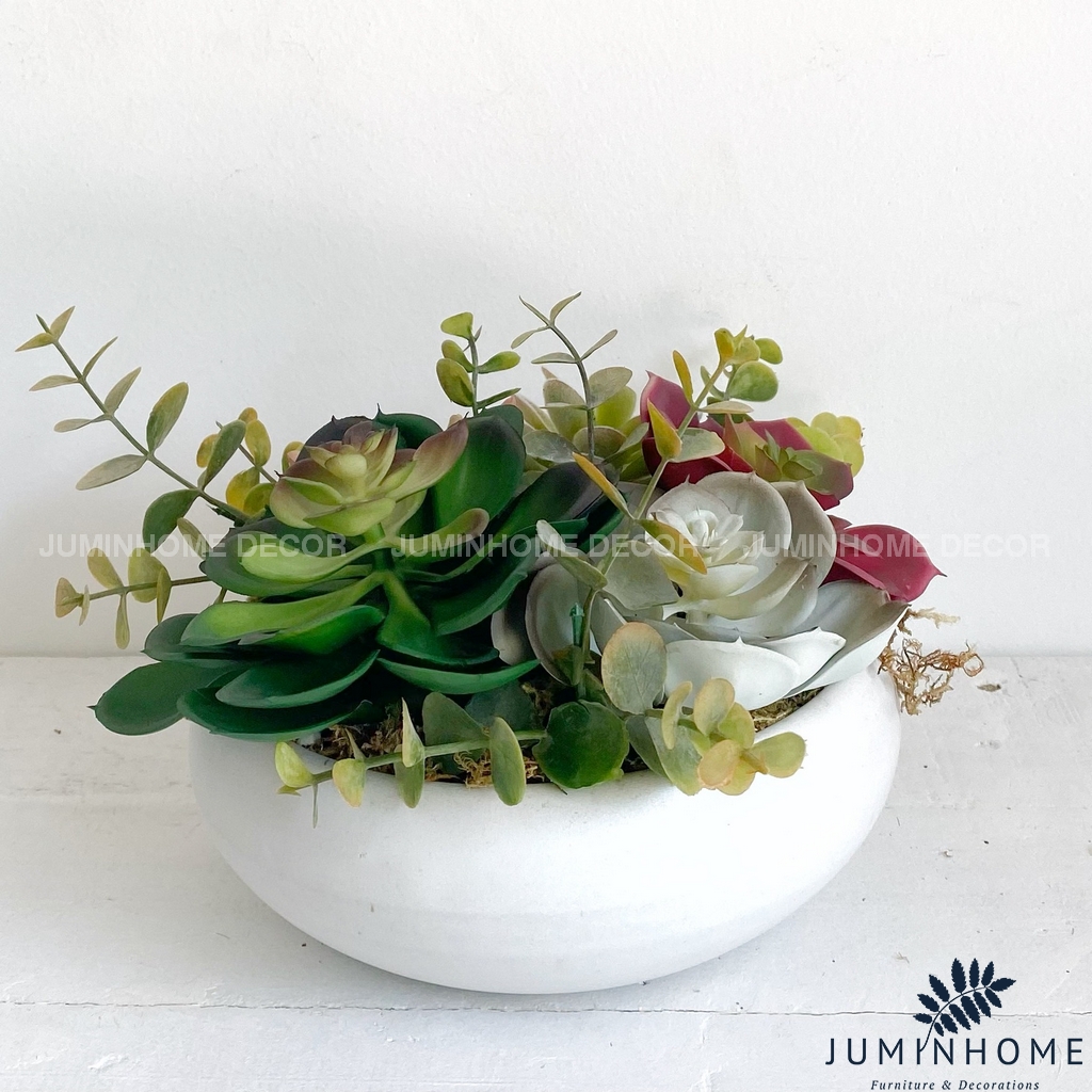 Cây giả Decor - Chậu sen đá bát Decor Trang trí để bàn