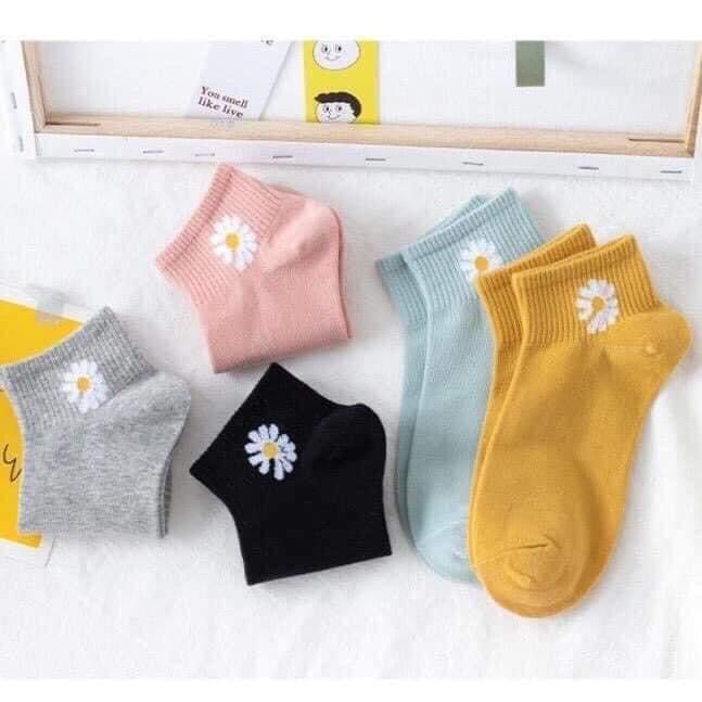 COMBO 10 đôi vớ hoa cúc Hatisu