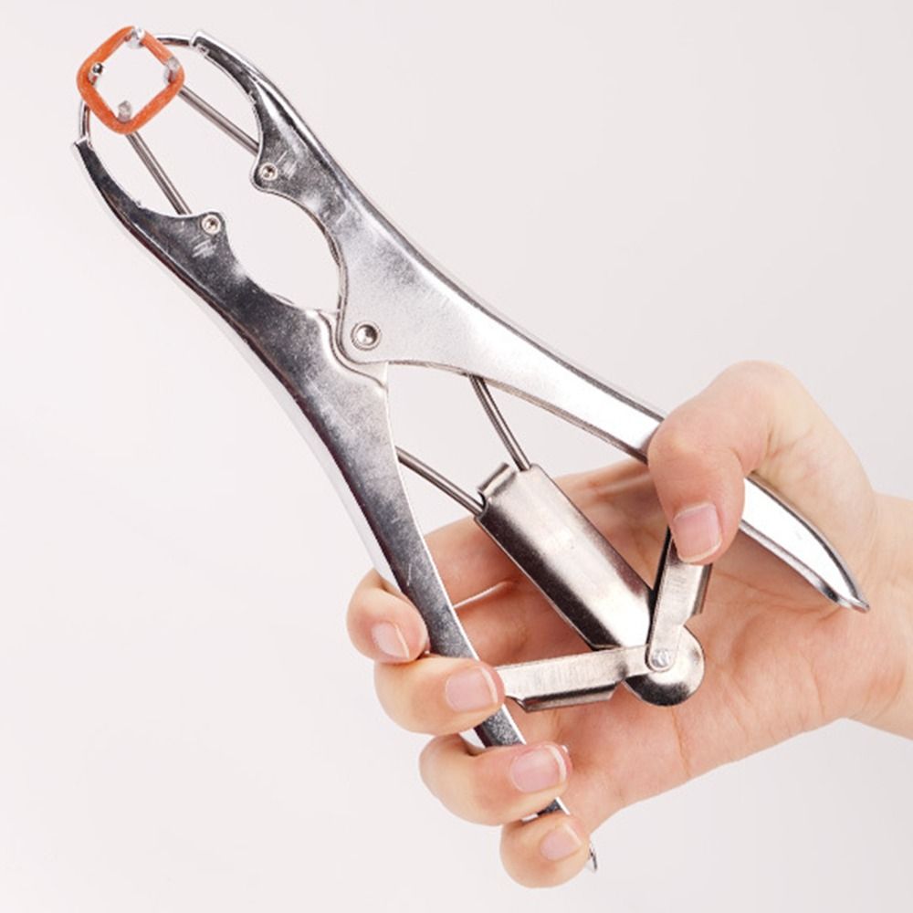 High Quality Bloodless Sheep Expansion Pliers Stainless Steel Mouth High Quality Bloodless Sheep Expansion Pliers Stainless Steel Mouth