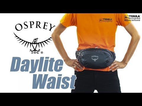 daylite waist