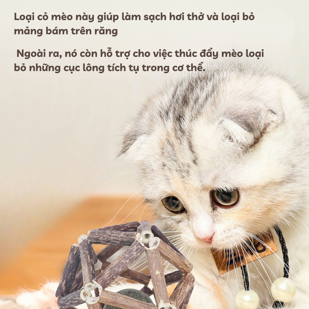 🌈 Banh Gỗ Capnit Cho Mèo - Bóng Đồ Chơi Capnit Cỏ Bạc Hà Mèo.