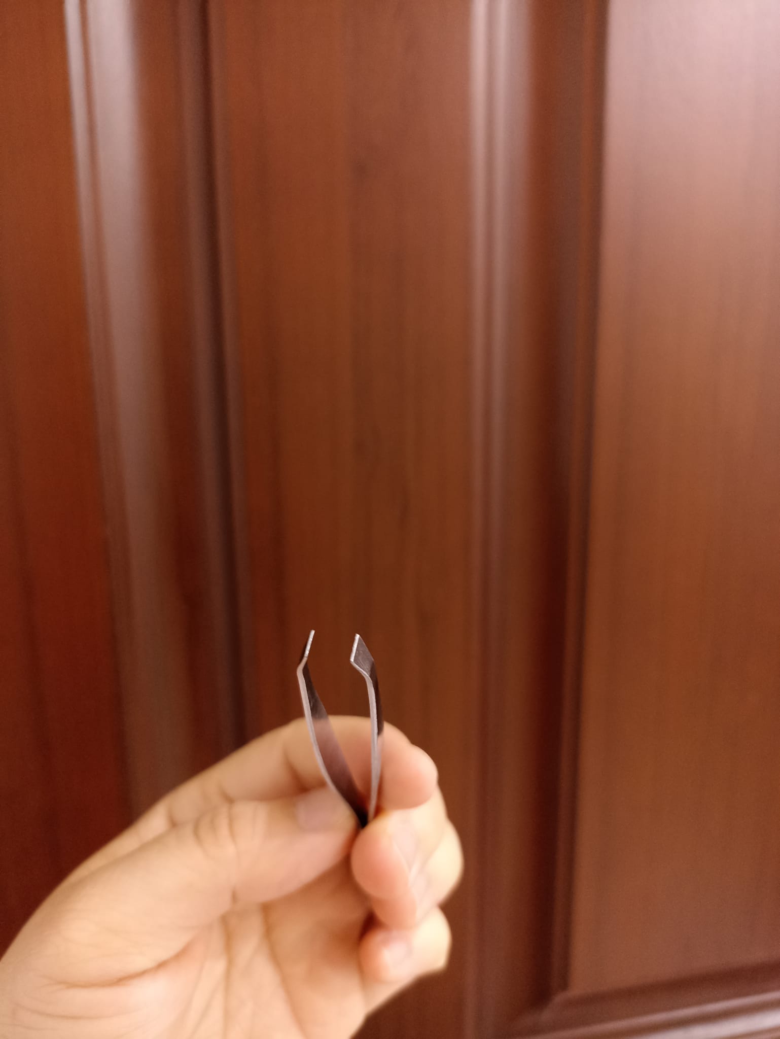 2 Cây Nhíp nhổ inox Trim loại tốt