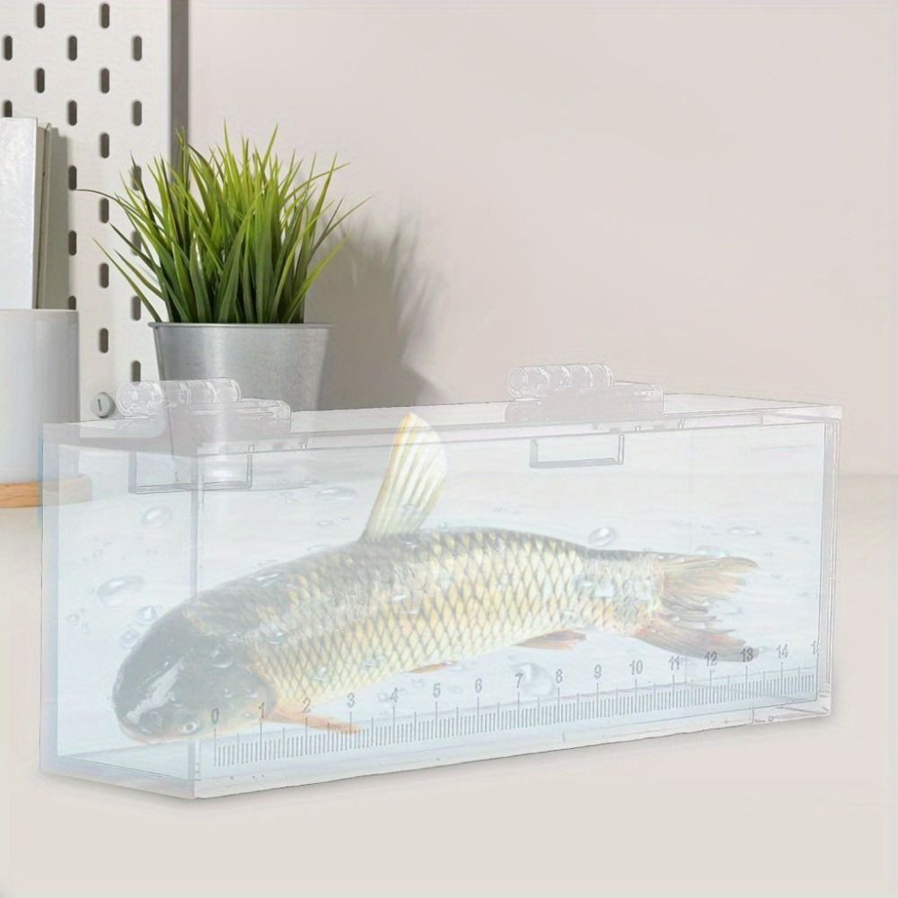 Shell Viewing Box Portable Transparent Fish Viewing Box Micro Landscape Mini Desktop ...