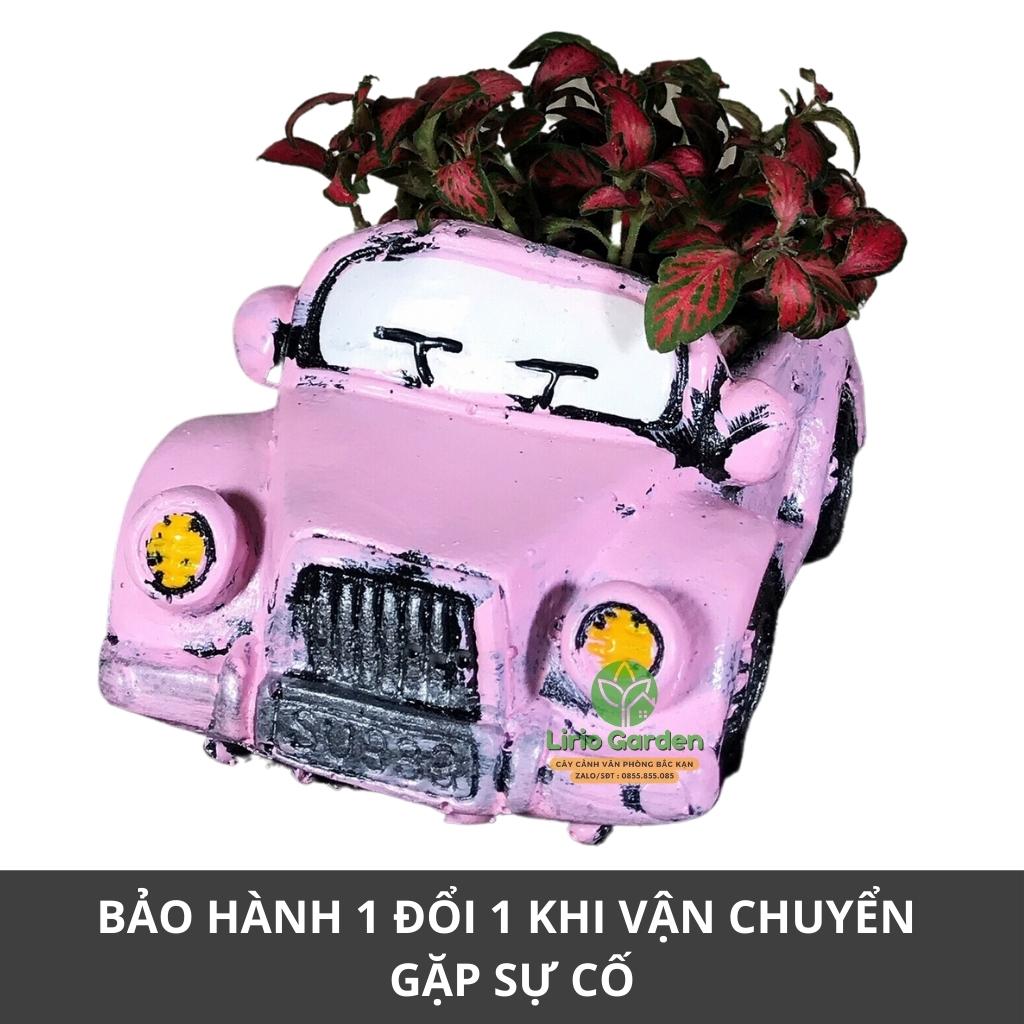 chậu trồng cây hình ô tô con [ tặng kèm đất trồng cây ]