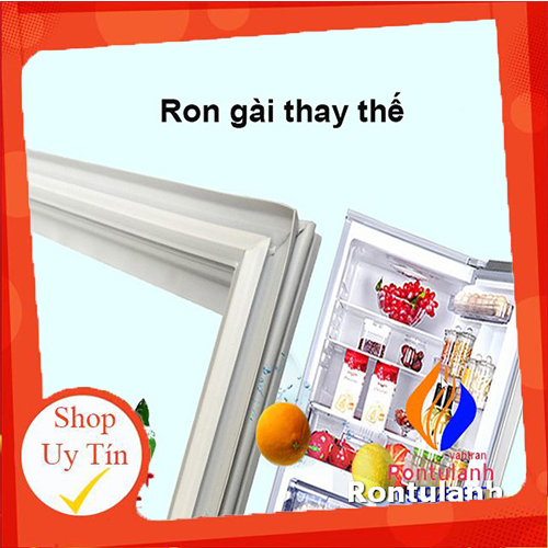 Ron cửa tủ lạnh Panasonic Model NR-BJ176