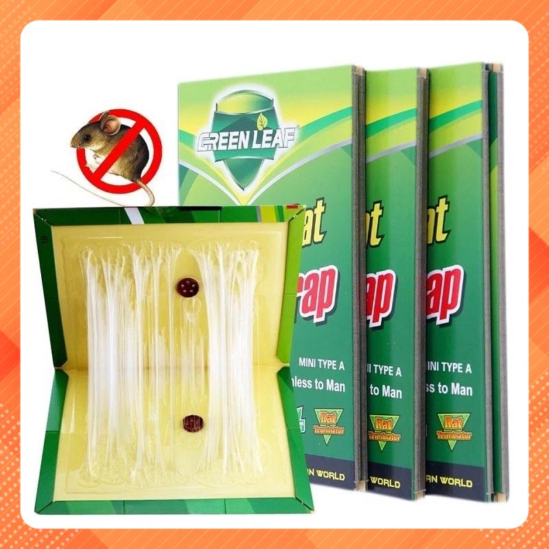 Combo 3 miếng dính bẫy chuột hiệu quả