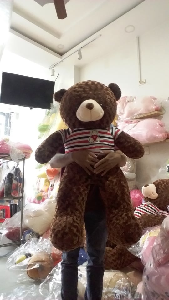 Gấu bông teddy size 1m85-1m9