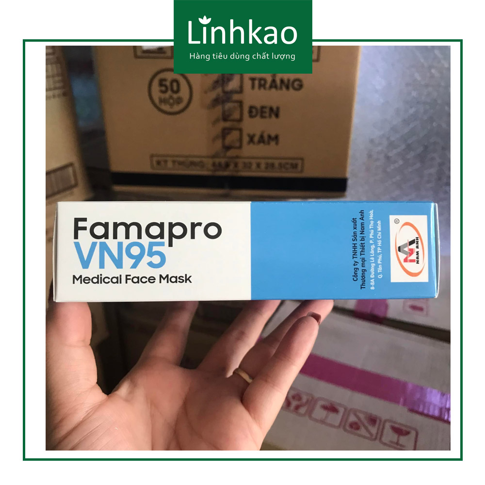 KHẨU TRANG Y TẾ VN95 FAMAPRO [10 CÁI]