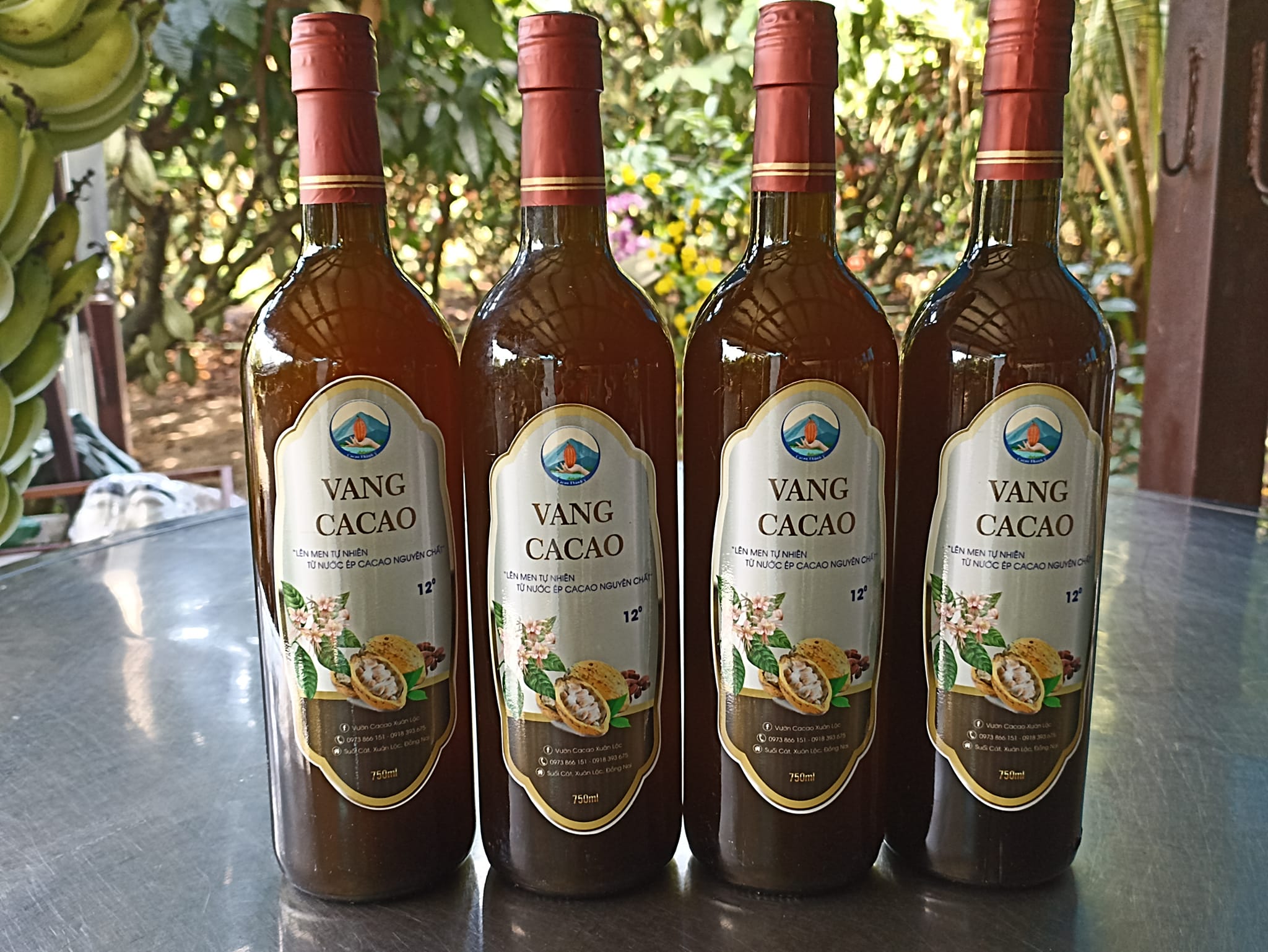 Vang Cacao