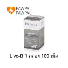 ภาพขนาดย่อของภาพหน้าปกสินค้าDr. Choice Livo-B Exp.2/2024 Intervetta บำรุงตับ สุนัข หมา แมว Liver Sment dog cat (1 กล่อง 100 เม็ด) จากร้าน Pawpal Pawpal บน Lazada