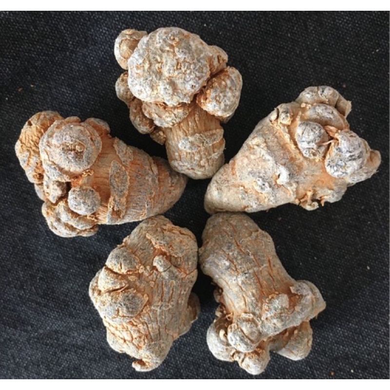 [CHÍNH HÃNG] Củ Tam Thất Bắc Khô ( Size Củ 50 /1kg To Lạc Khô Chuẩn )