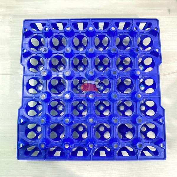 Set 2 Vỉ nhựa, khay nhựa đựng trứng lớn 30 quả DQ. Đựng trứng gà, trứng vịt
