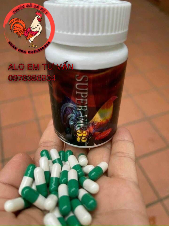 Supper Vip 32 Nuôi gà tăng bo, đá bo lớn