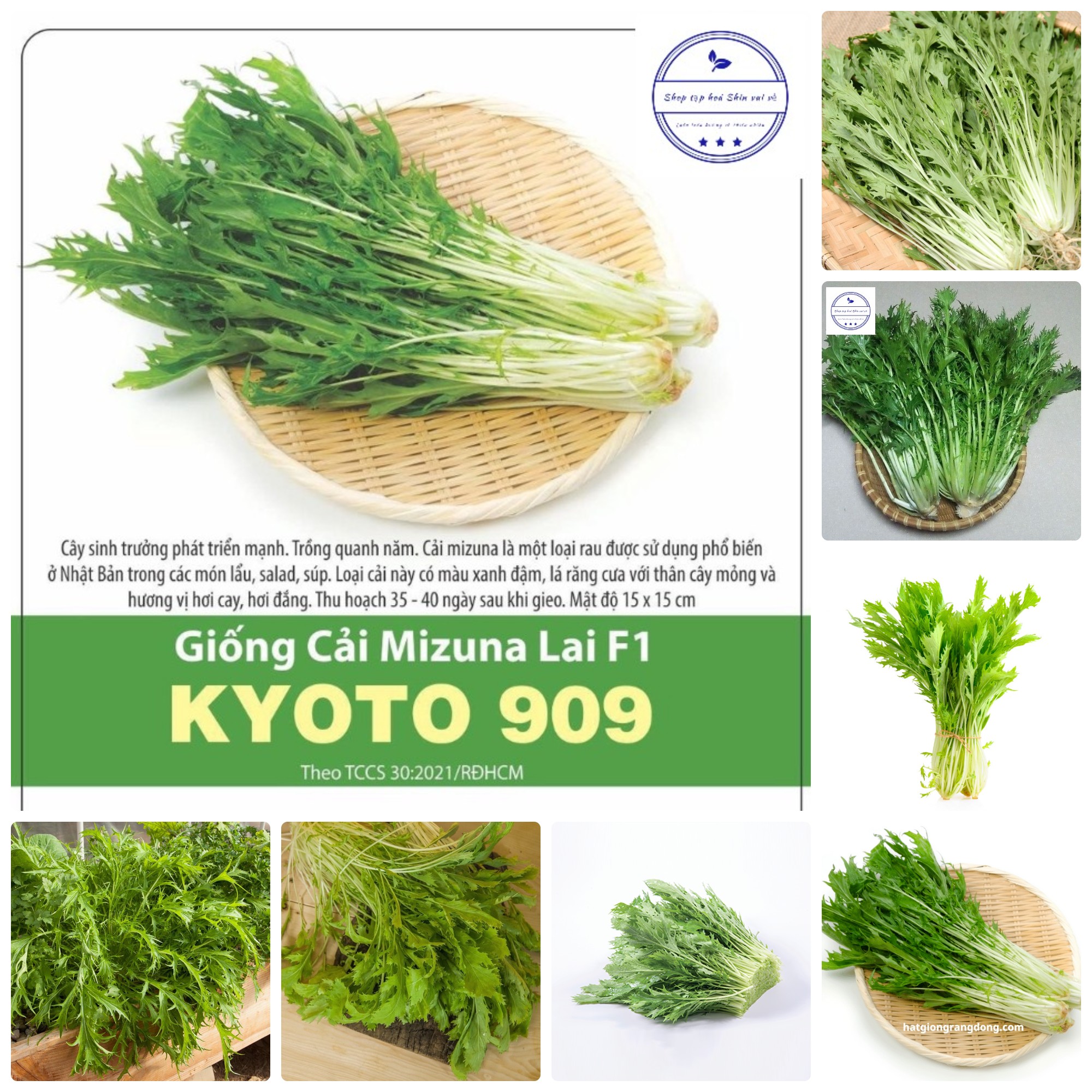 Hạt giống Cải Mizuna Nhật gói 5gr