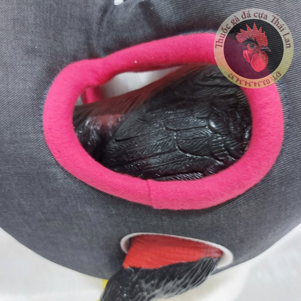 Túi xách gà có dây (dành cho gà nòi , gà chọi) (dụ cụ , phụ kiện dành cho gà đá) thuốc gà đá , thuoc ga