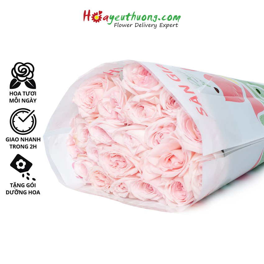 Hoa Hồng Pink Ohara Hoayeuthuong - hoa tươi Đà Lạt trang trí nhà cửa, văn phòng