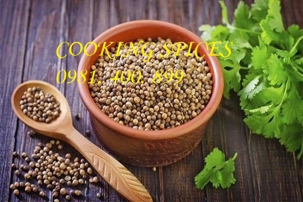 Bột Ngò nguyên chất ướp thịt nướng Kebab ( Coriander Powder )