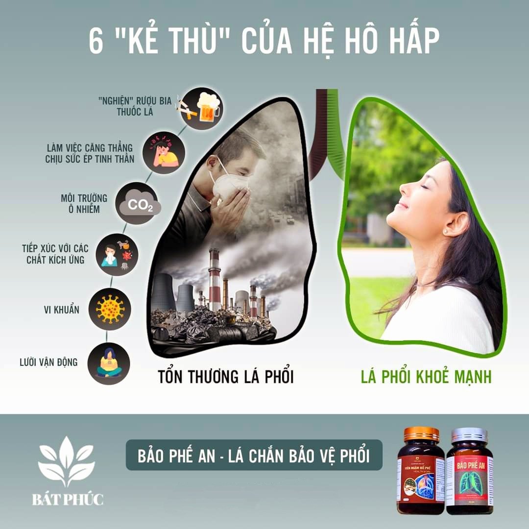 Viên Uống Bảo Phế An