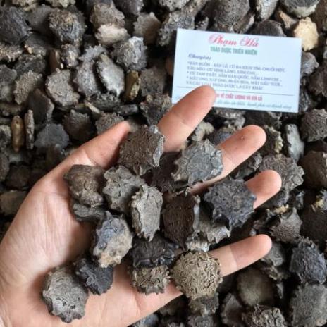 Hạt gấc khô , Hạt gấc cao cấp