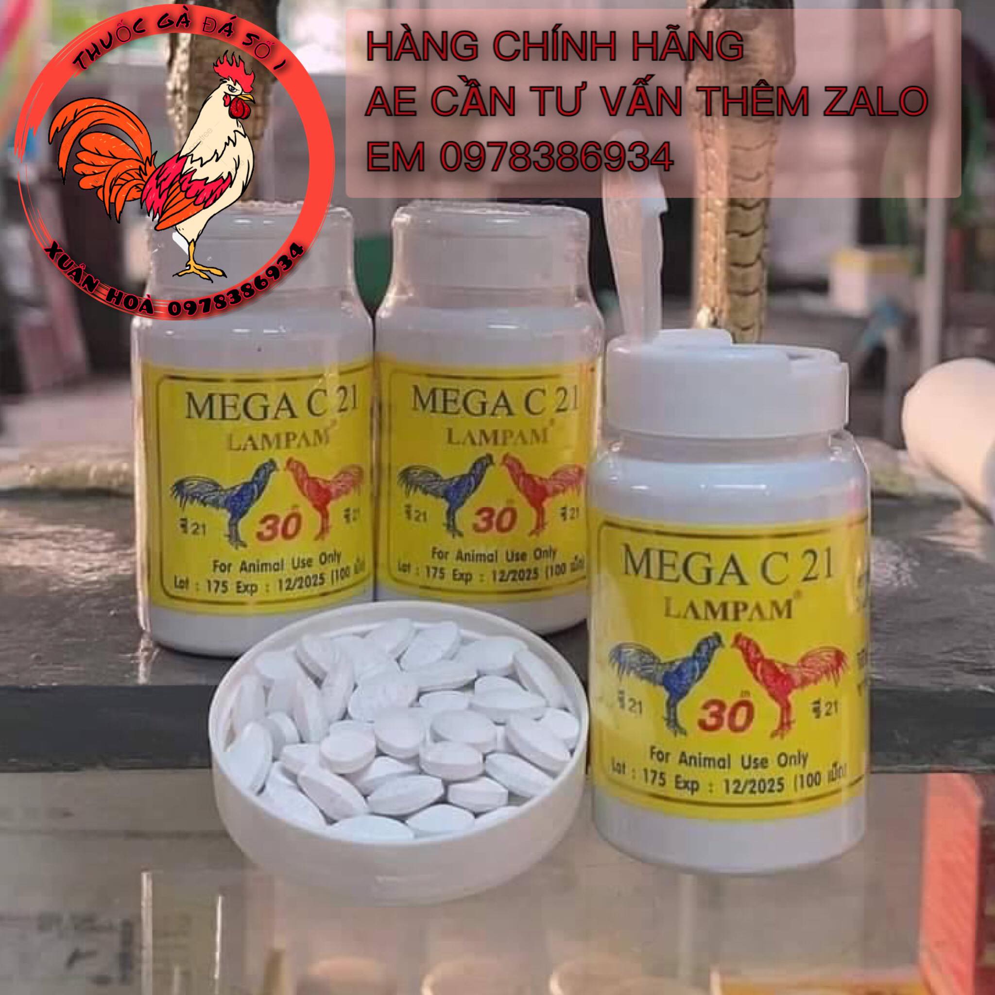 Mega C21 Kích Lực trước đá 7-10 ngày cho Gà Đá