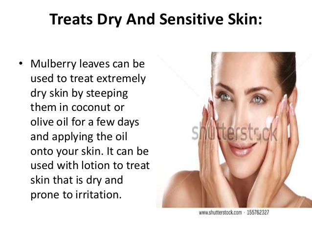 Mulberry%20Leaf%20Extract%20%20Powder%20%20500g%20-%20Image%206