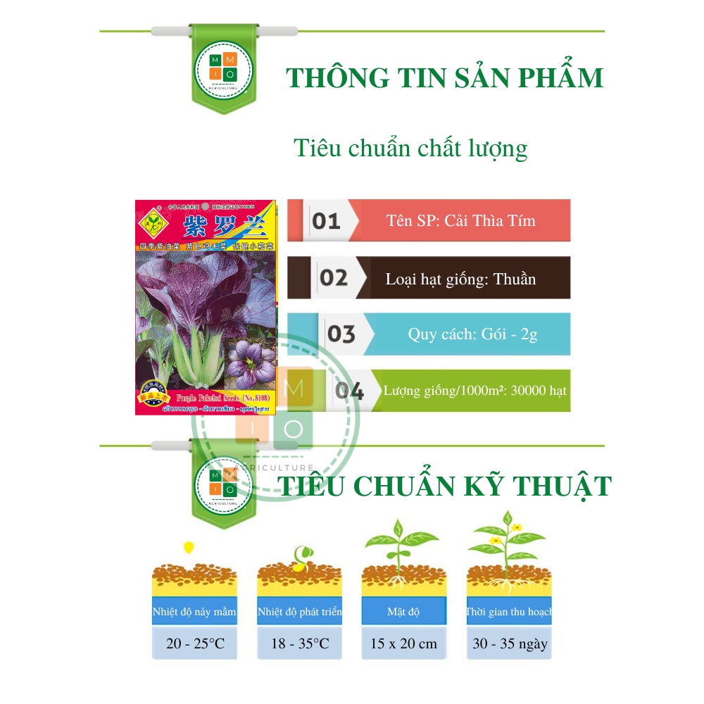 Hạt giống rau cải thìa tím (Purple Pakchoi) chịu nhiệt