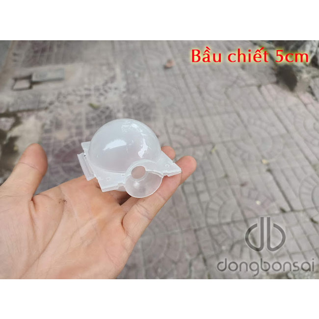 Bầu chiết cành trong suốt, nhựa PVC tái sử dụng, tăng khả năng ra rễ
