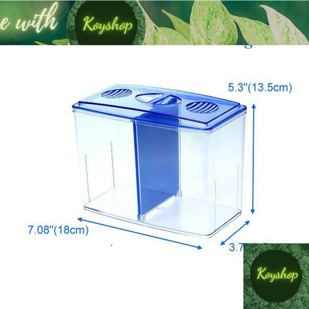 Hồ nhựa Bể cá mini 2 ngăn bể betta nhựa tháo lắp ngăn tiện lợi