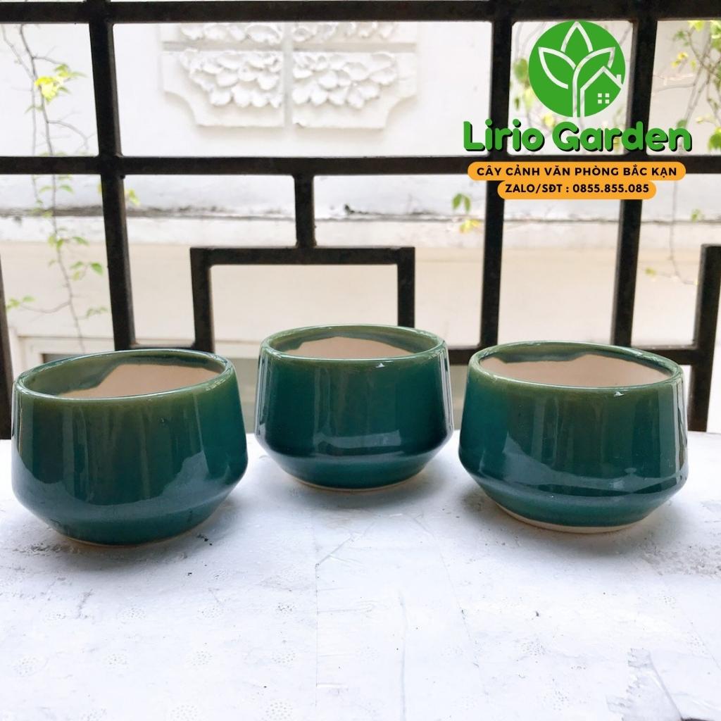 Chậu cây hình hạt dẻ nhỏ