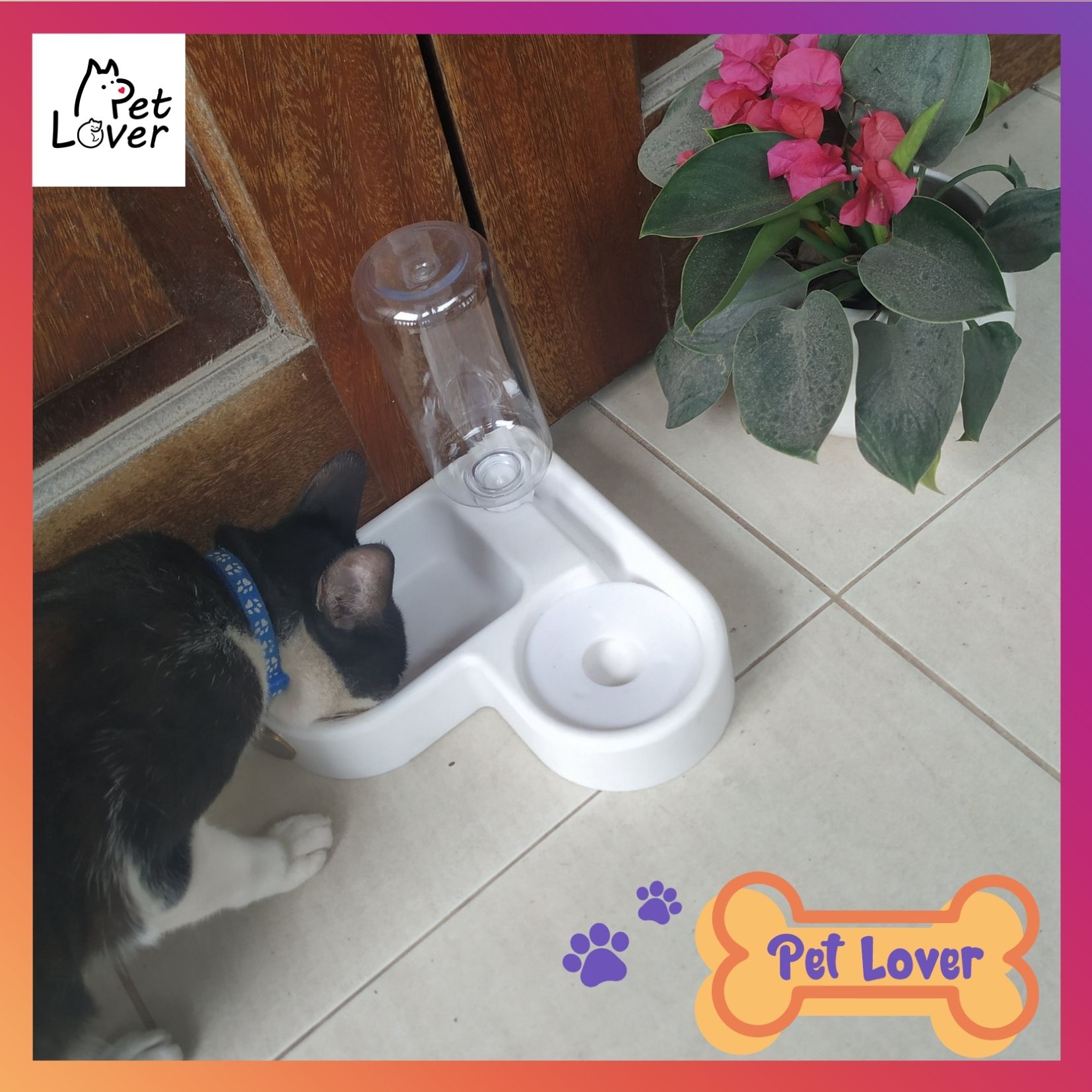 Dog food bowl, cat food bowl