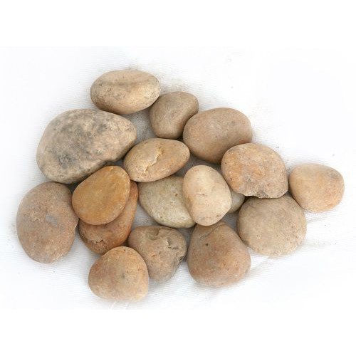 Sỏi cuội đen - cuội vàng trang trí hồ cá thủy sinh