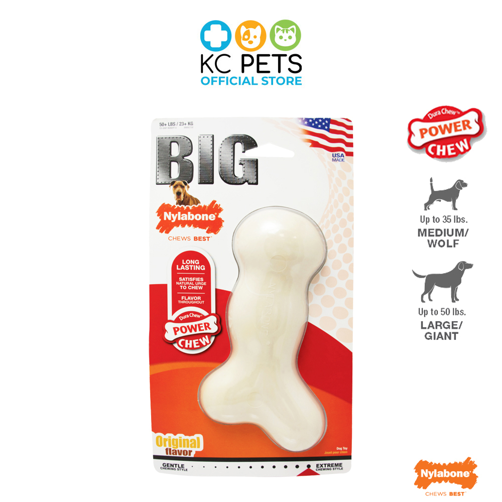 Galileo bones nylabone best sale