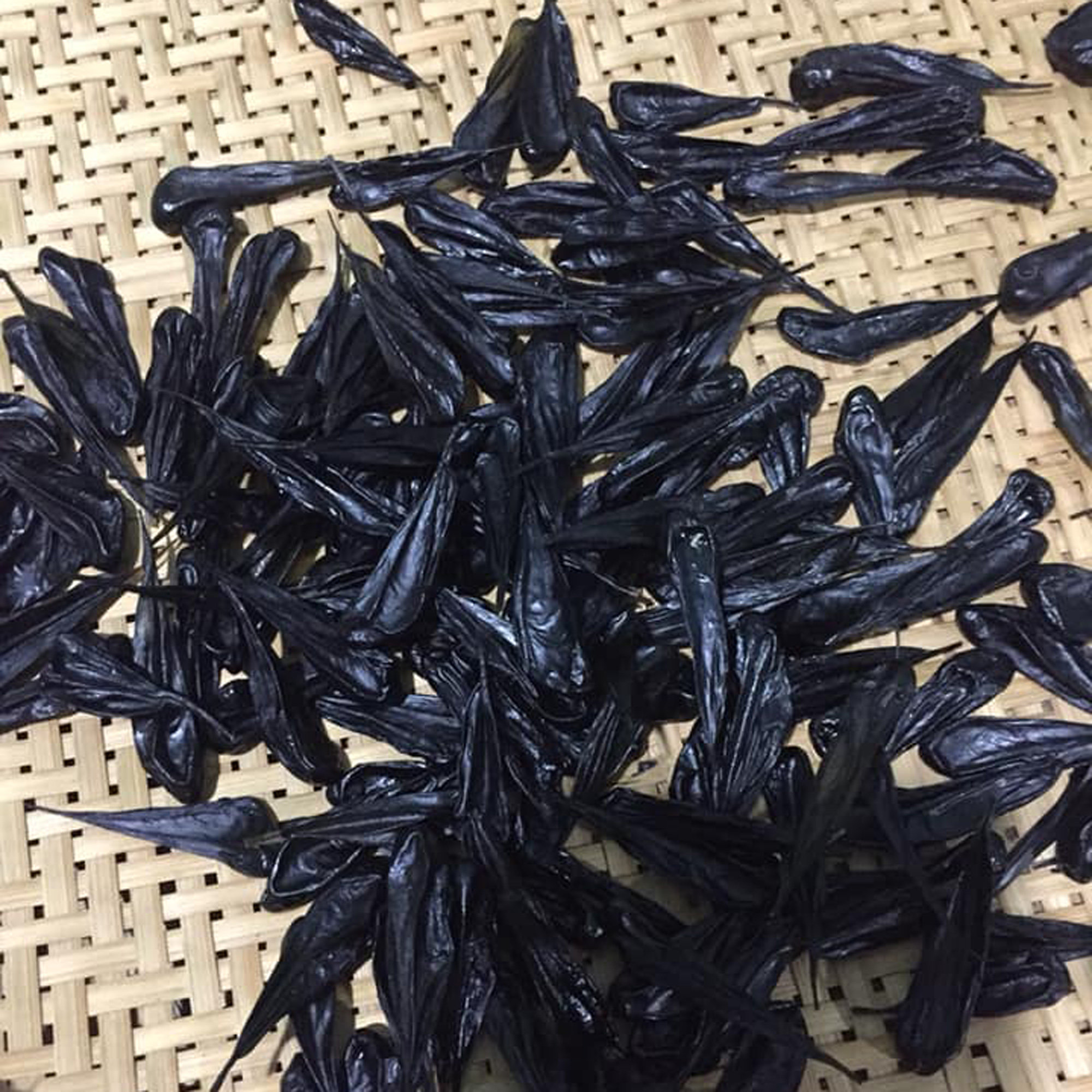 [BÁN CHẠY NHẤT] MẬT KỲ ĐÀ loại chuẩn sỉ toàn quốc
