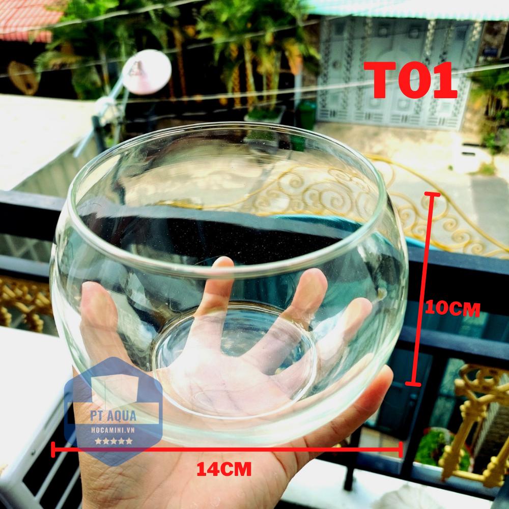 [Hoàn Tiền 10%] Chậu thủy tinh mini , Bể cá mini để bàn
