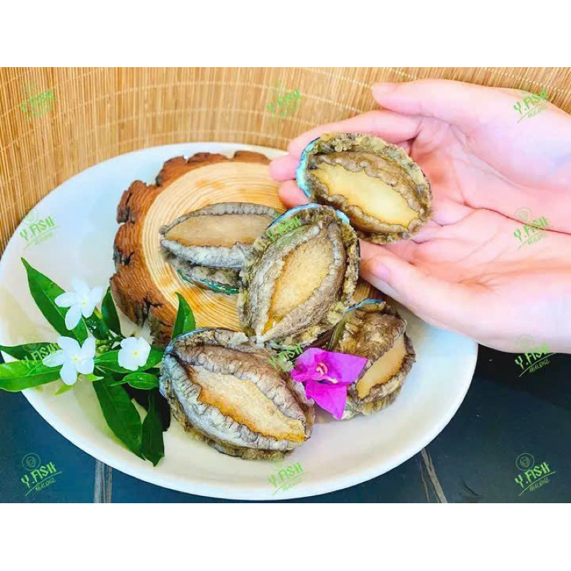 1kg Imported Y.Fish Abalone, Net Weight 6 Sizes, 20-22 Pieces (Delivery to Hcmc)