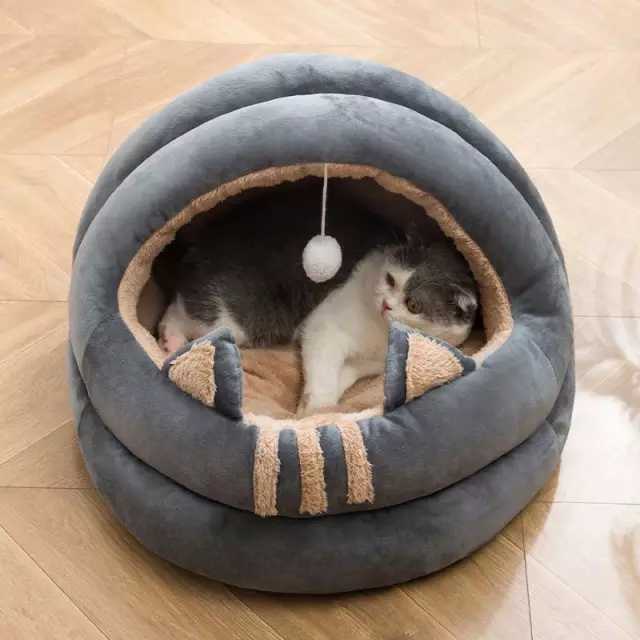 Nhà lồng chó mèo, nệm ngủ thú cưng