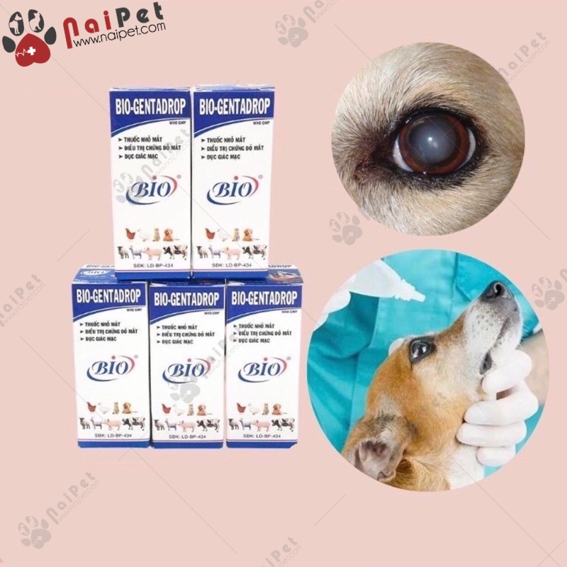 Nhỏ Mắt Bio Gentadrop 10ml