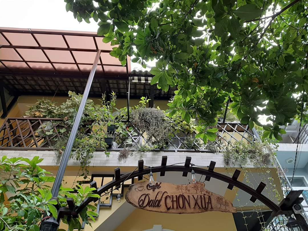 Dầu tràm nguyên chất Phú Lộc, Huế