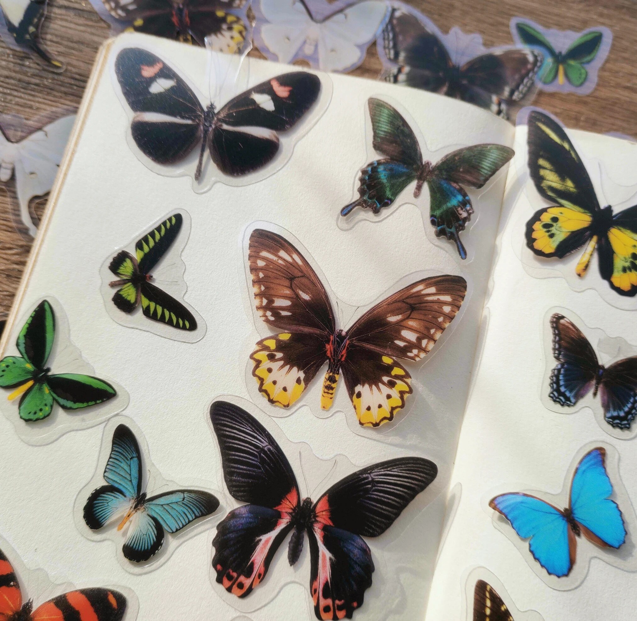 40PCS Insects Dragonfly Butterfly Stickers PET Transparent Decorative ...